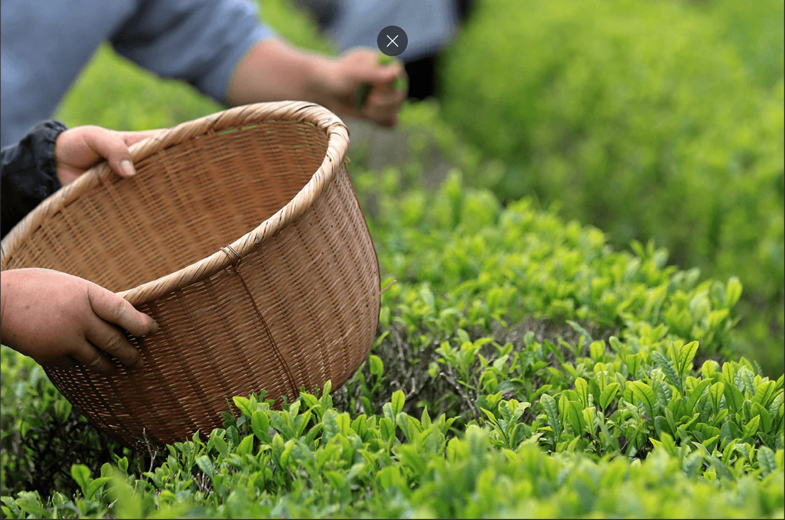 screenshot 2025 12 07 085308